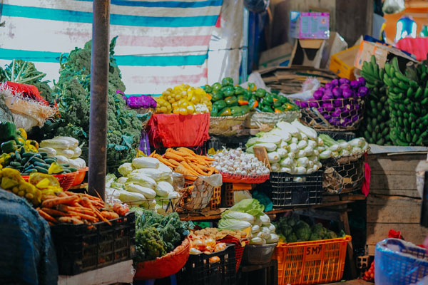 各大機(jī)構(gòu)蔬菜配送流程 各大機(jī)構(gòu)蔬菜配送流程