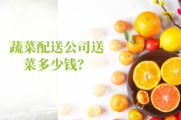 蔬菜配送公司送菜多少錢？